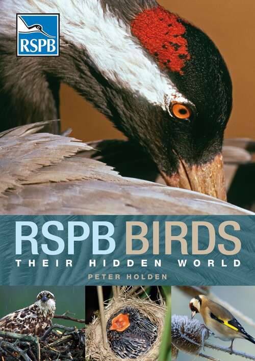 Book cover of RSPB Birds: their Hidden World (RSPB)