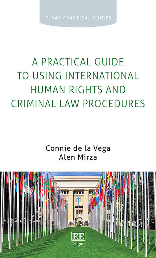 Book cover of A Practical Guide to Using International Human Rights and Criminal Law Procedures (Elgar Practical Guides)