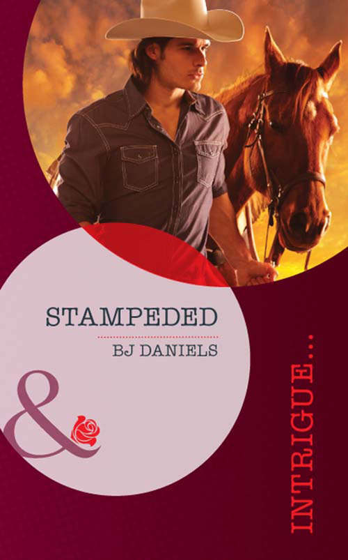 Book cover of Stampeded (ePub First edition) (Whitehorse, Montana: Chisholm Cattle Company #4)
