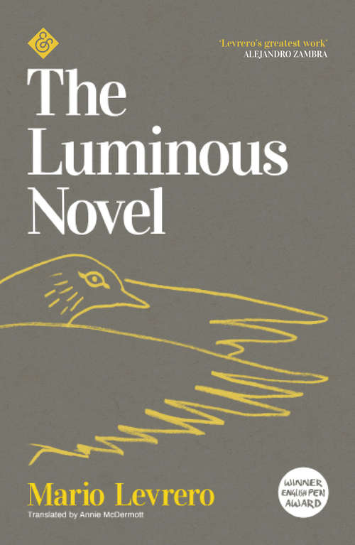 Book cover of The Luminous Novel