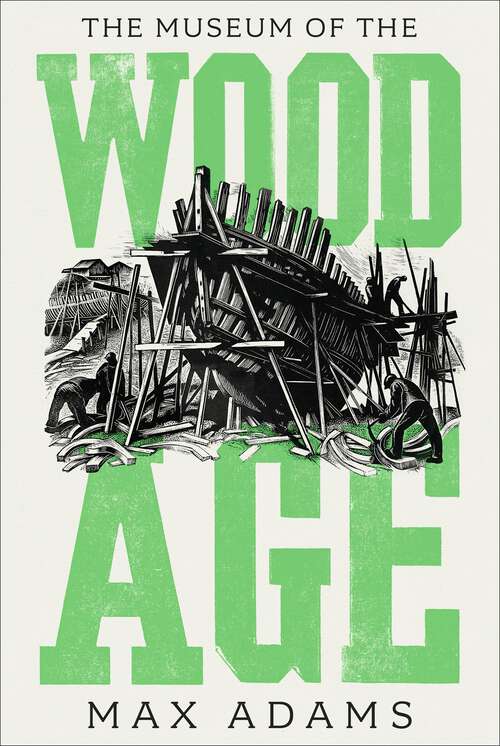 Book cover of The Museum of the Wood Age