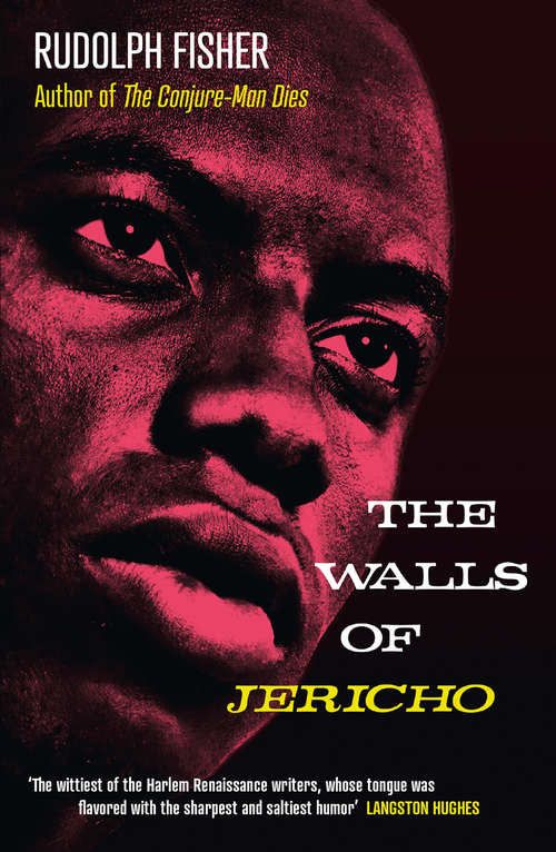 Book cover of The Walls of Jericho (Ann Arbor Paperbacks Ser.)