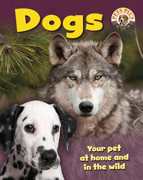 Book cover of Dogs: Life Lessons From A Hunting Master (Pets Plus)