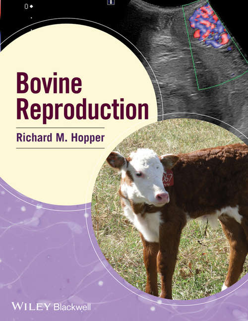 Book cover of Bovine Reproduction
