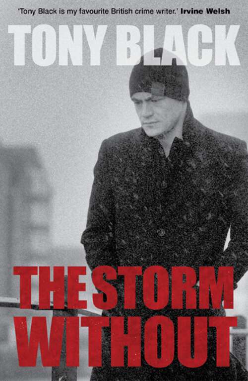 Book cover of The Storm Without