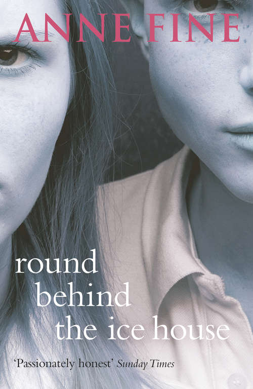 Book cover of Round Behind The Ice House