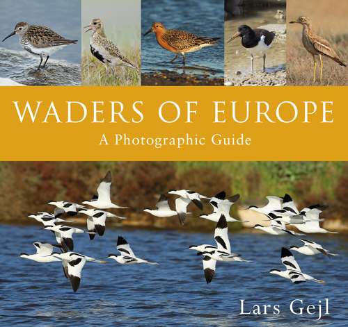 Book cover of Waders of Europe