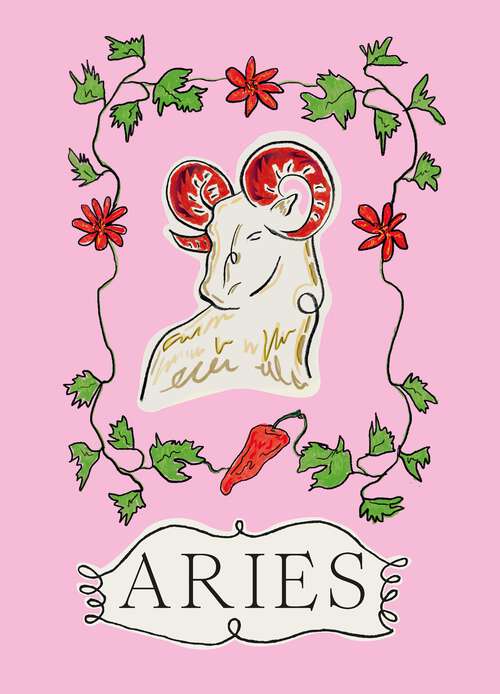 Book cover of Aries (Planet Zodiac Ser.)