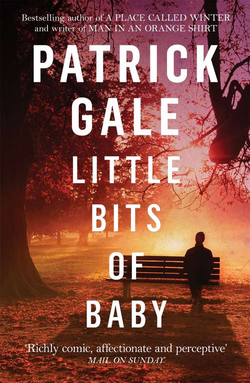 Book cover of Little Bits of Baby: A Novel
