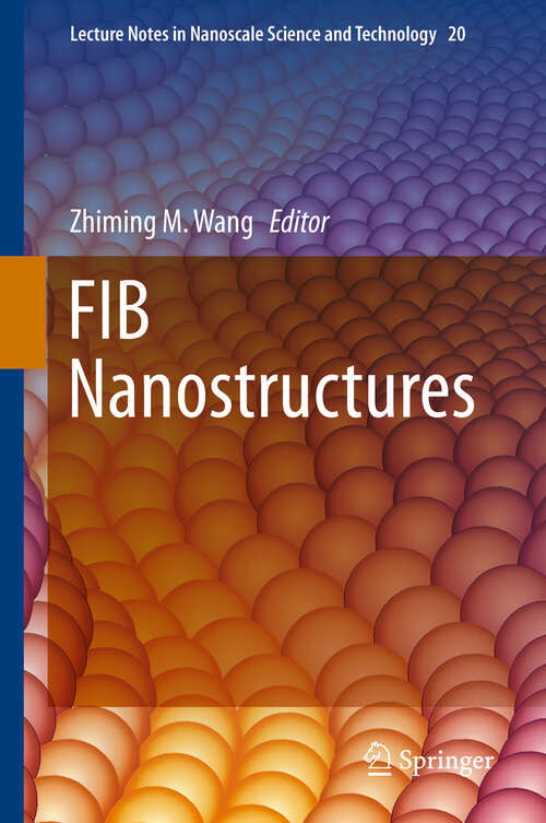Book cover of FIB Nanostructures (2013) (Lecture Notes in Nanoscale Science and Technology #20)