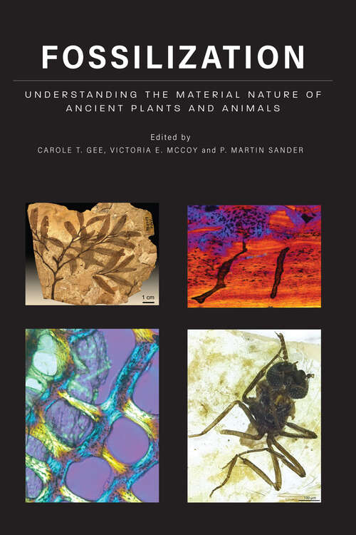 Book cover of Fossilization: Understanding the Material Nature of Ancient Plants and Animals