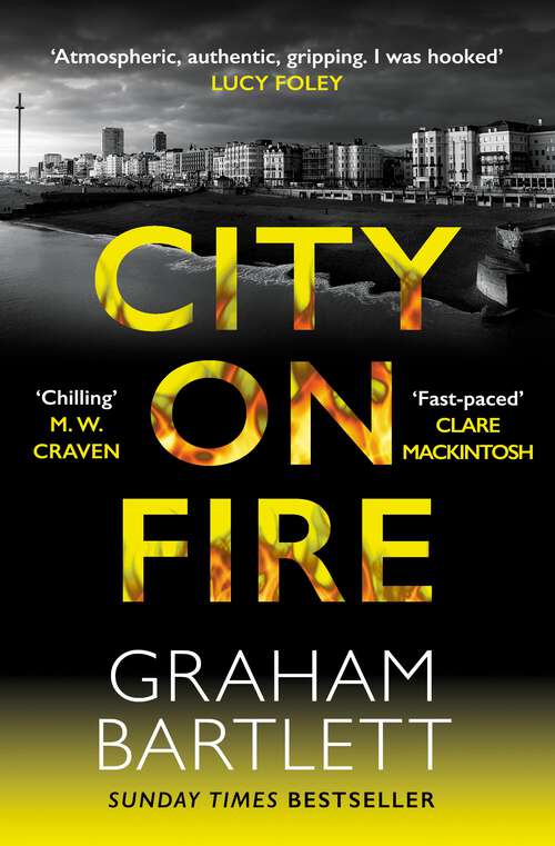 Book cover of City on Fire: From the top ten bestselling author (Jo Howe)