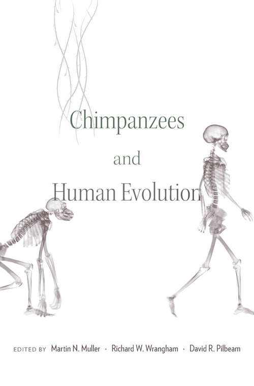Book cover of Chimpanzees and Human Evolution