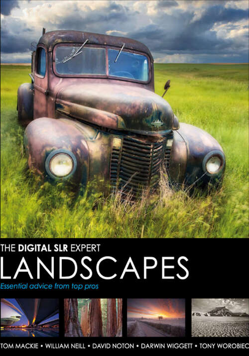 Book cover of The Digital SLR Expert Landscapes (Digital SLR Expert)
