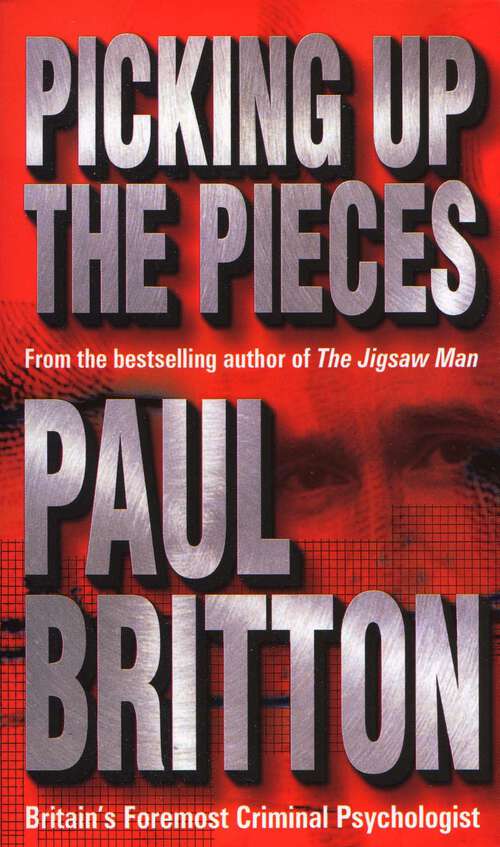 Book cover of Picking Up The Pieces