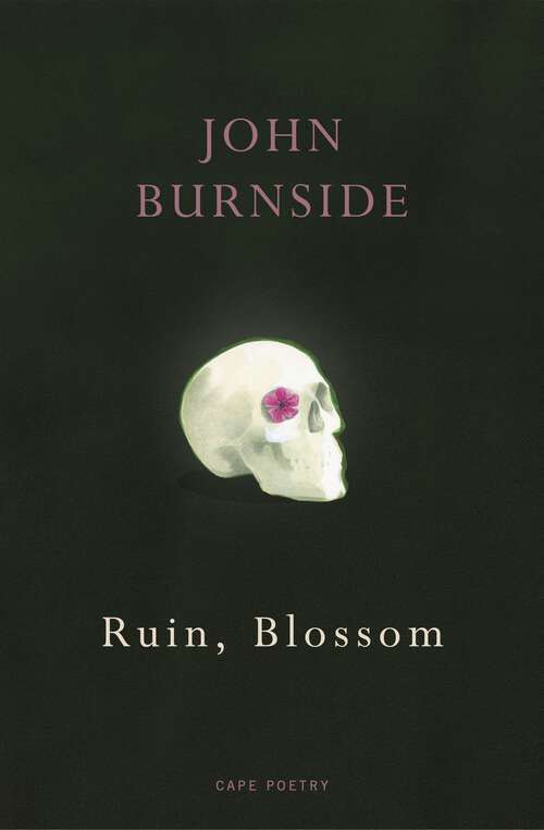 Book cover of Ruin, Blossom