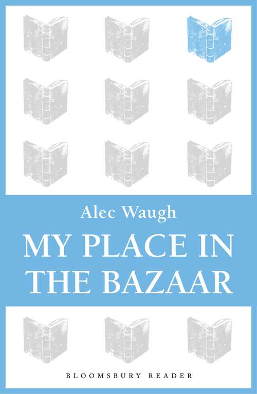 Book cover of My Place in the Bazaar
