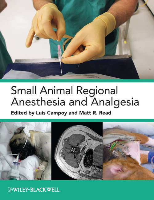 Book cover of Small Animal Regional Anesthesia and Analgesia