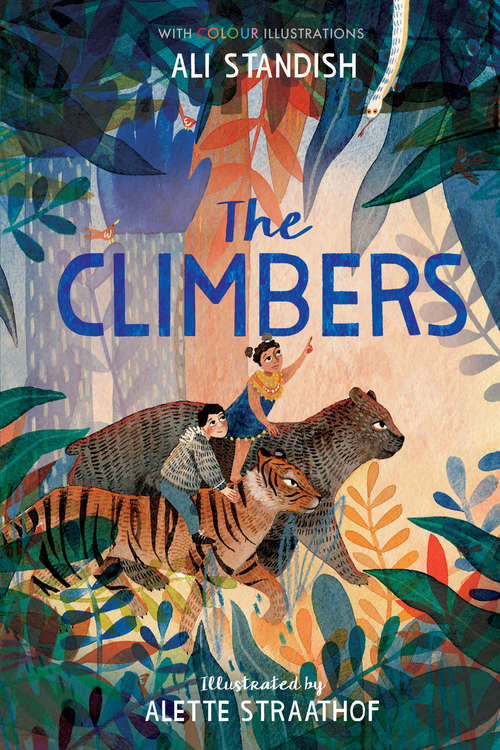Book cover of The Climbers (Colour Fiction #3)