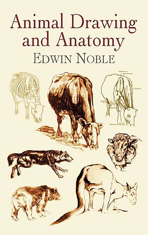 Book cover of Animal Drawing and Anatomy