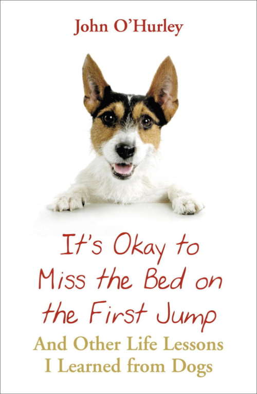 Book cover of It's OK to Miss the Bed on the First Jump