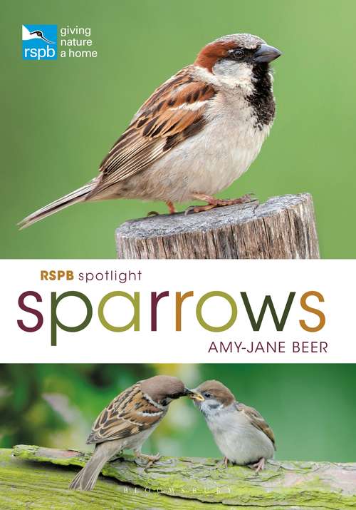Book cover of RSPB Spotlight Sparrows (RSPB)
