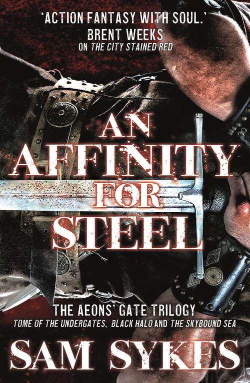 Book cover of An Affinity for Steel: The Aeons' Gate Trilogy (The Aeons' Gate)