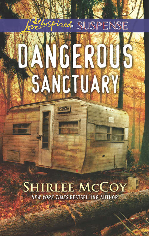 Book cover of Dangerous Sanctuary: Dangerous Sanctuary Murder Mix-up Shattered Trust (ePub edition) (FBI: Special Crimes Unit #3)