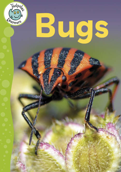 Book cover of Bugs (Tadpoles Learners #6)