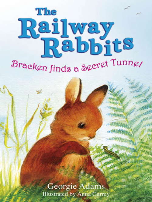 Book cover of Railway Rabbits: Book 5 (The Railway Rabbits #5)