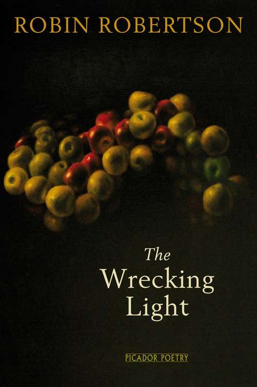 Book cover of The Wrecking Light