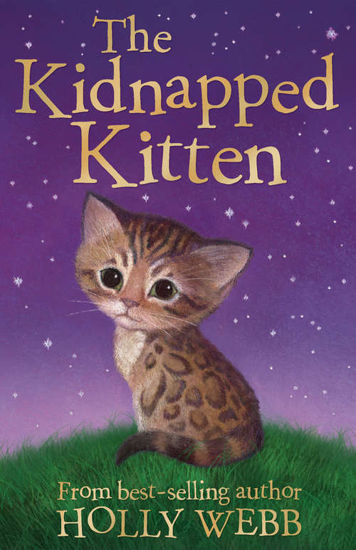 Book cover of The Kidnapped Kitten: The Missing Kitten, The Frightened Kitten, The Kidnapped Kitten (Holly Webb Animal Stories #26)