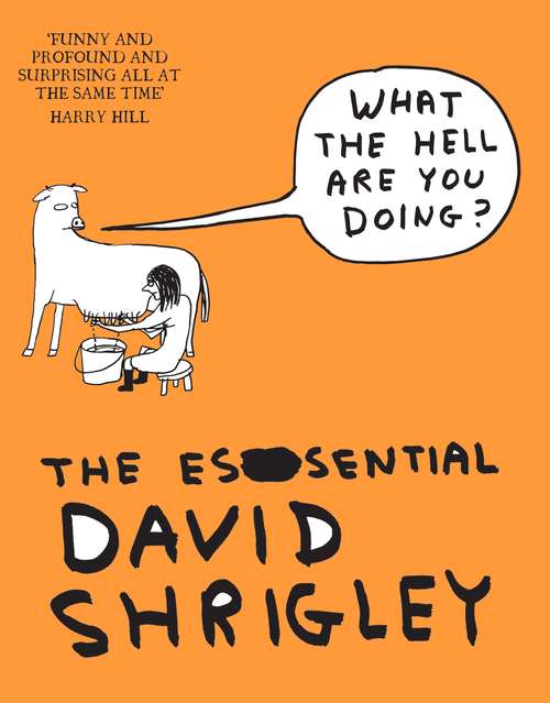 Book cover of What The Hell Are You Doing?: The Essential David Shrigley