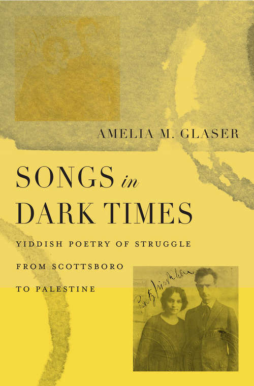 Book cover of Songs in Dark Times: Yiddish Poetry Of Struggle From Scottsboro To Palestine