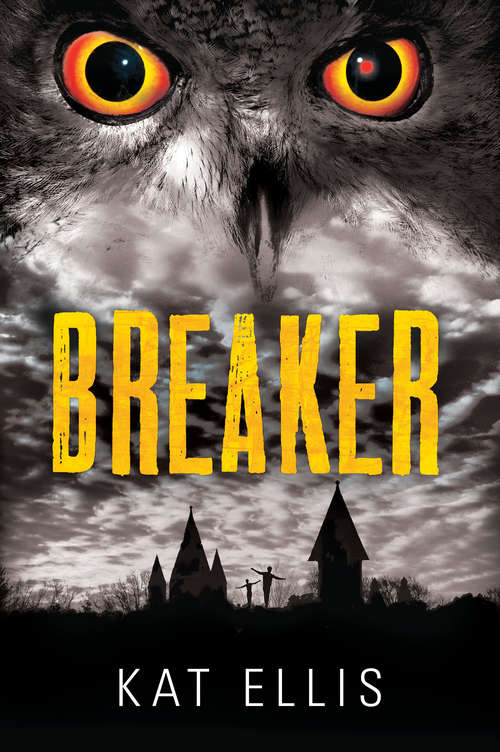 Book cover of Breaker