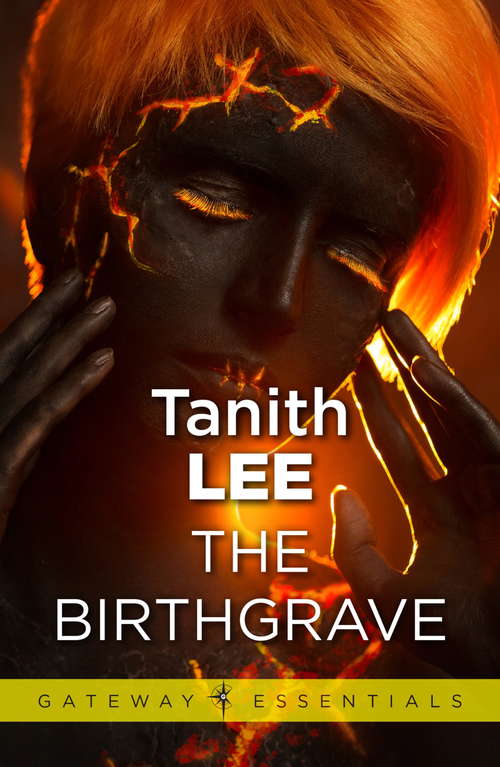 Book cover of The Birthgrave (Gateway Essentials #489)