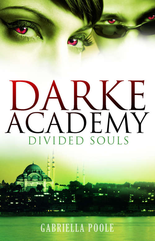 Book cover of Divided Souls: Book 3 (Darke Academy: Bk. 3)