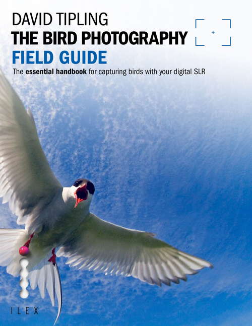 Book cover of The Bird Photography Field Guide: The Essential Handbook for Capturing Birds with your digital SLR (Field Guide)