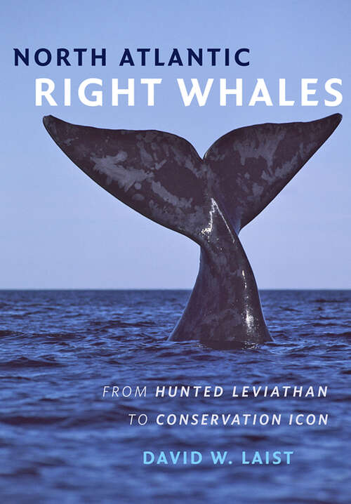 Book cover of North Atlantic Right Whales: From Hunted Leviathan to Conservation Icon