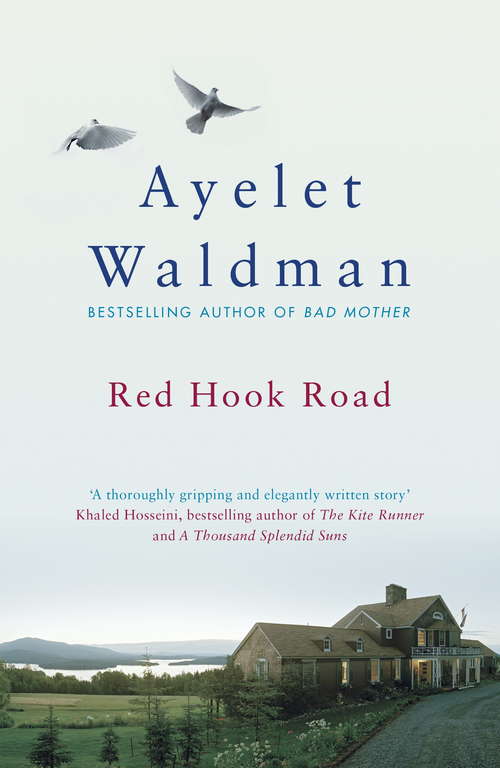 Book cover of Red Hook Road