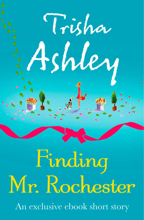 Book cover of Finding Mr Rochester (ePub edition)