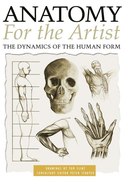 Book cover of Anatomy for the Artist