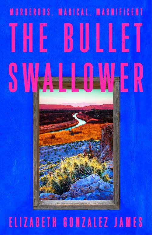 Book cover of The Bullet Swallower