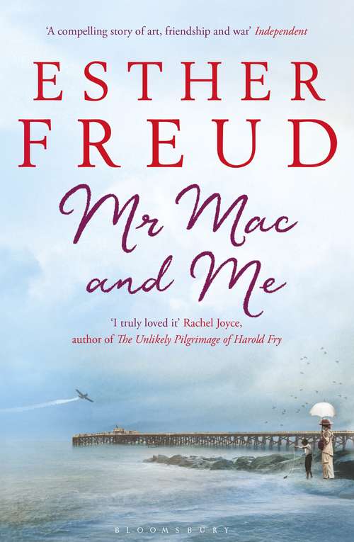 Book cover of Mr Mac and Me
