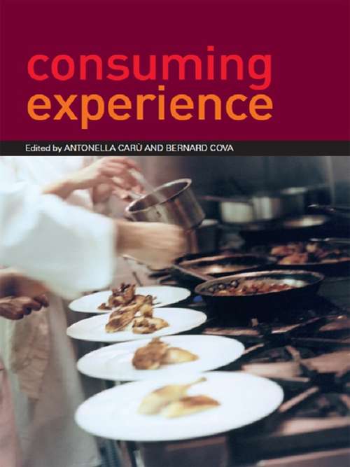Book cover of Consuming Experience