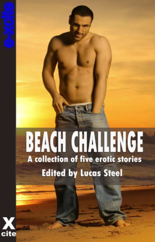 Book cover of Beach Challenge: A collection of gay erotic stories