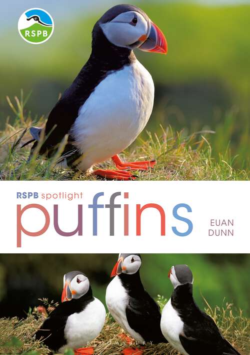 Book cover of RSPB Spotlight: Puffins (RSPB)