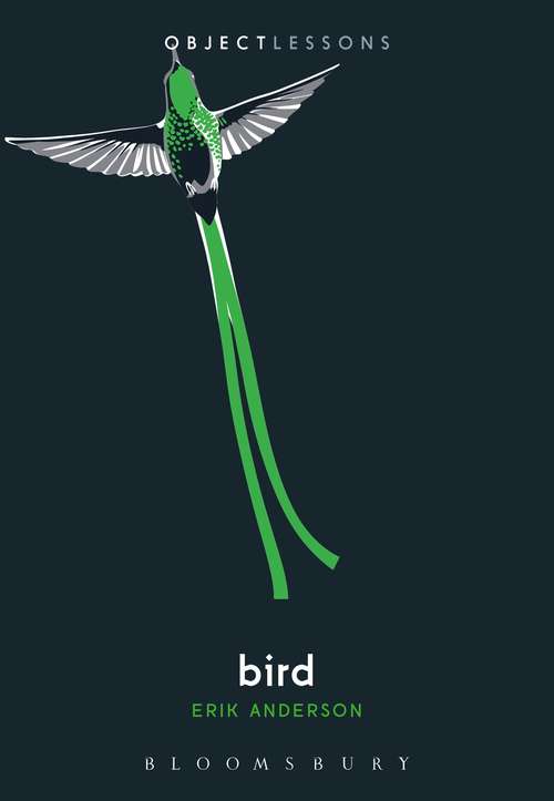 Book cover of Bird (Object Lessons)