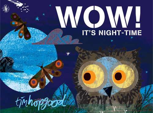 Book cover of WOW! It's Night-time