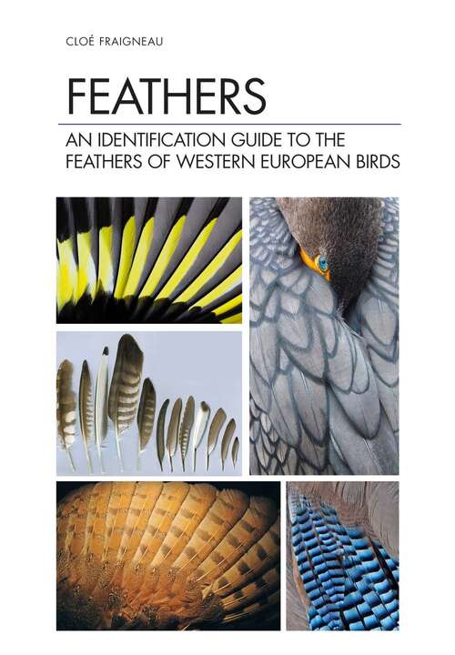 Book cover of Feathers: An Identification Guide to the Feathers of Western European Birds